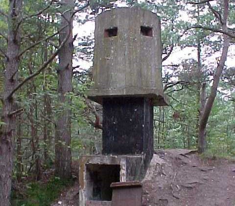 Hiiuma